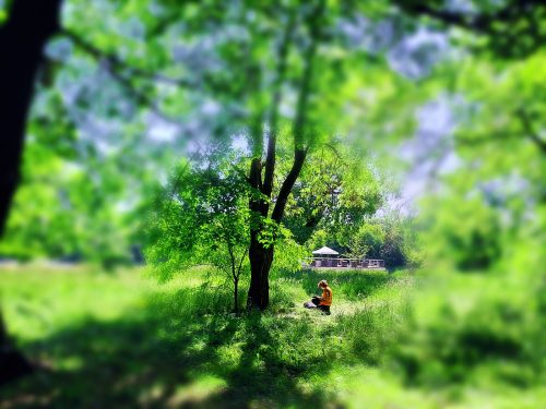 50d28e13-fc49-44c6-a4fa-f972ba4227c5-3